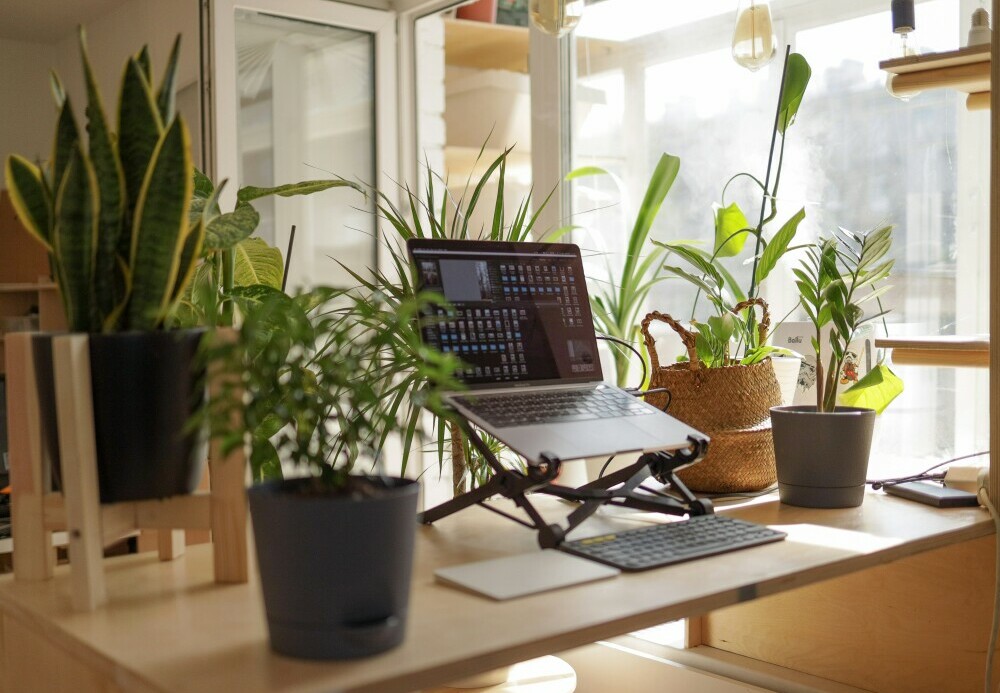 home-workspace