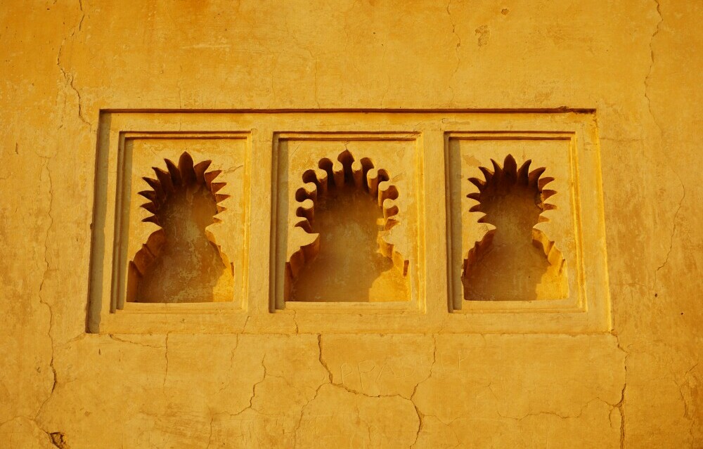 uncovering-niches